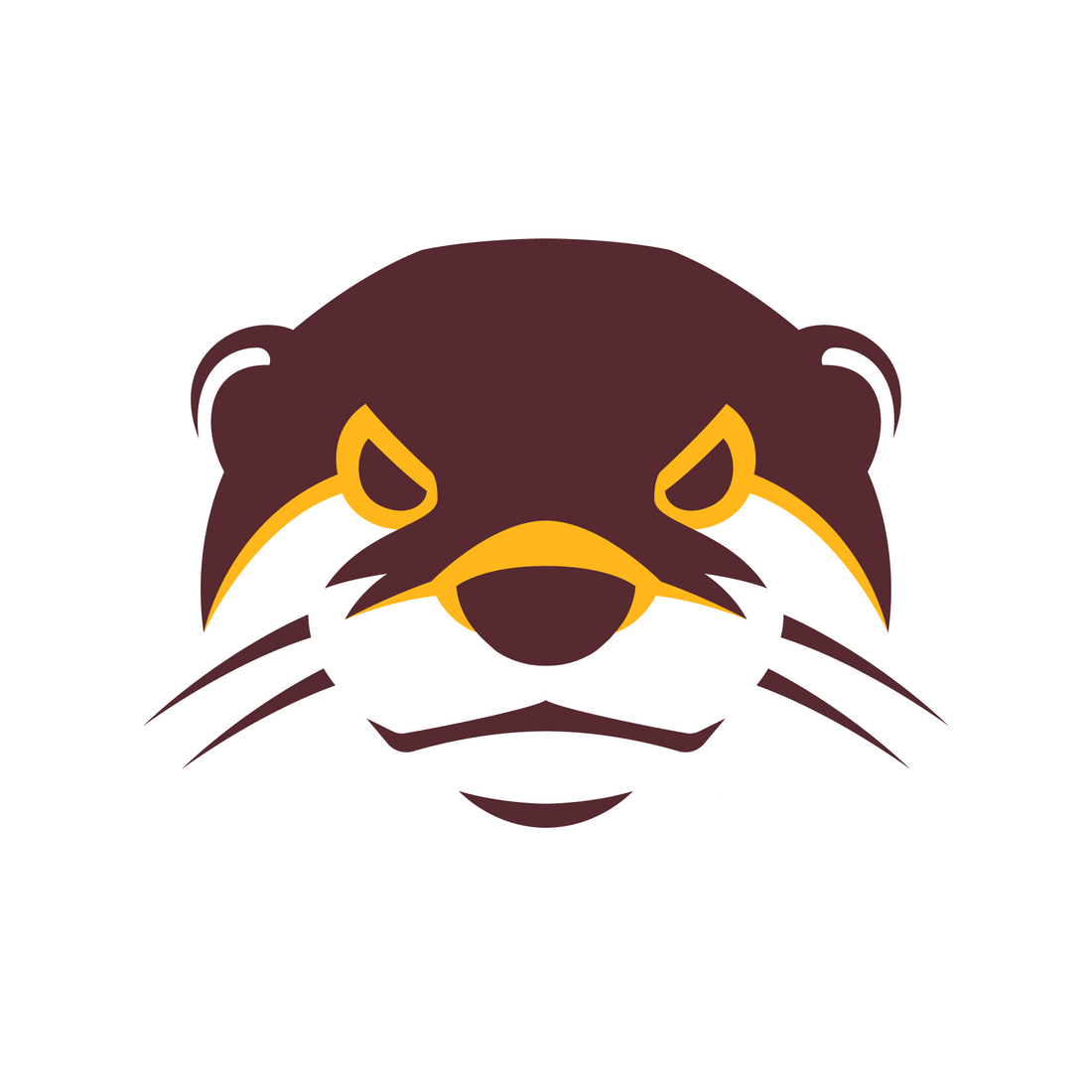  Fergus Falls Girls Hockey