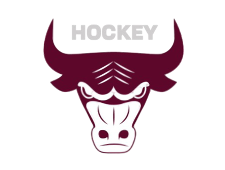  SOUTH ST. PAUL GIRLS HOCKEY