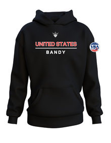  USA BANDY Relaxed Hoodie | Embroidered