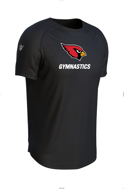 ALEXANDRIA GYMNASTICS Legacy Performance Tee
