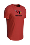 ALEXANDRIA GYMNASTICS Legacy Performance Tee
