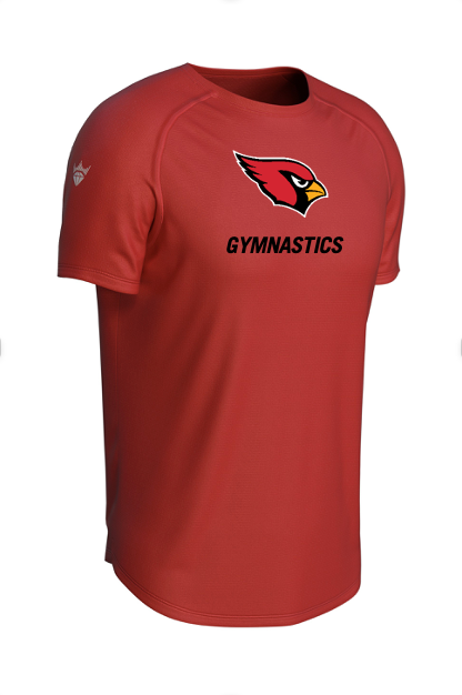 ALEXANDRIA GYMNASTICS Legacy Performance Tee
